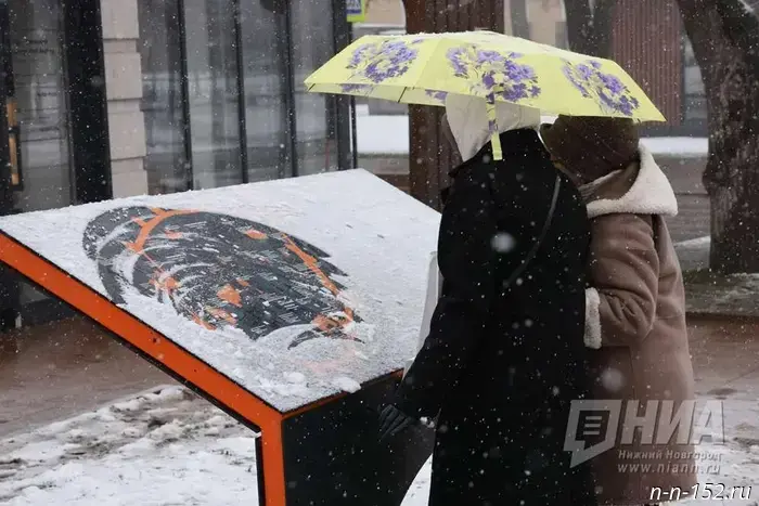 A trichologist explained to Nizhny Novgorod residents how to protect the hair on their heads during the winter.